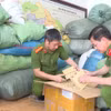 Lực lượng chức năng liên tiếp phát hiện những vụ kinh doanh hàng giả liên quan đến chăm sóc sức khỏe. (Ảnh: PV/Vietnam+)