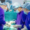 Các bác sỹ Bệnh viện Quân y 103 thực hiện một ca ghép tạng. (Ảnh: PV/Vietnam+)