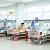 (Ảnh minh họa: TTXVN/Vietnam+)