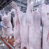 Tăng cường phát hiện, điều tra, xử lý nghiêm các hành vi vi phạm nghiêm trọng về kiểm soát giết mổ động vật làm lây lan dịch bệnh, gây mất an toàn thực phẩm. (Ảnh: TTXVN)