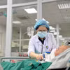 Các bác sỹ chăm sóc và điều trị cho bệnh nhân. (Ảnh: PV/Vietnam+)