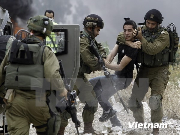 Israel bắt giữ 16 người Palestine sau các cuộc đột kích bất ngờ ảnh 1
