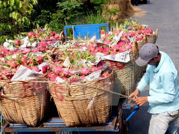 Những sự kiện trong nước nổi bật diễn ra trong tuần từ ngày 1-7/6 ảnh 5