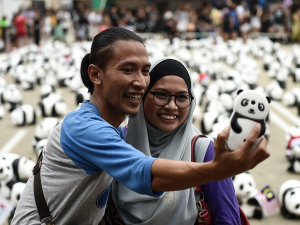 Người Malaysia thỏa sức chụp hình cùng 1.600 chú gấu trúc dễ thương ảnh 3