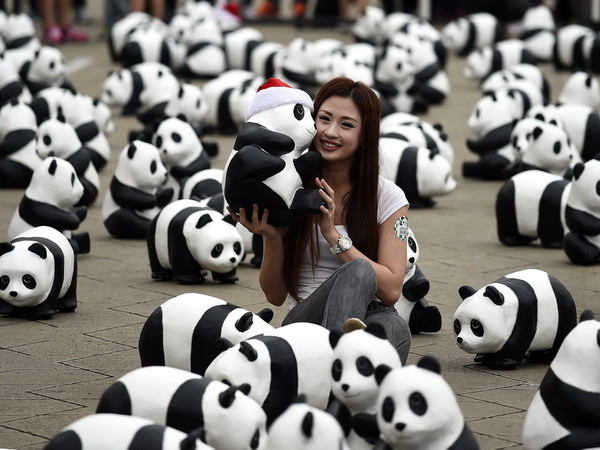 Người Malaysia thỏa sức chụp hình cùng 1.600 chú gấu trúc dễ thương ảnh 1