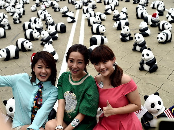 Người Malaysia thỏa sức chụp hình cùng 1.600 chú gấu trúc dễ thương ảnh 2