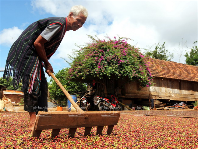 Chân thực cuộc sống thường nhật của các cộng đồng tôn giáo ảnh 12