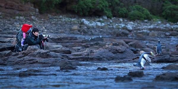 Địu con trên lưng, hai nhiếp ảnh gia chụp ảnh vòng quanh thế giới ảnh 2