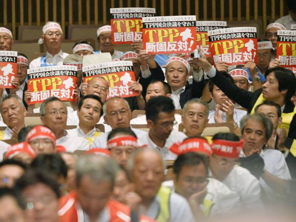 Nông dân Nhật Bản yêu cầu chính phủ bảo hộ trước khi ký TPP ảnh 1