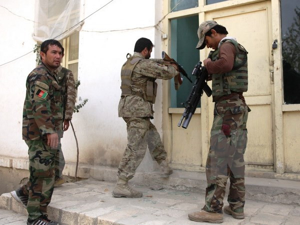 [Video] Afghanistan bắt giữ một thủ lĩnh chủ chốt của Taliban ảnh 1