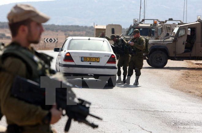 Nga đề nghị Hezbollah "hạ nhiệt" và tránh đối đầu với Israel ảnh 1