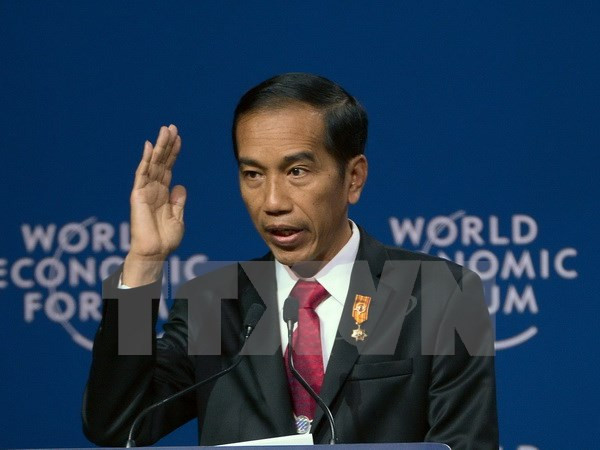 Indonesia mong muốn phát triển khu thương mại tự do với Singapore ảnh 1