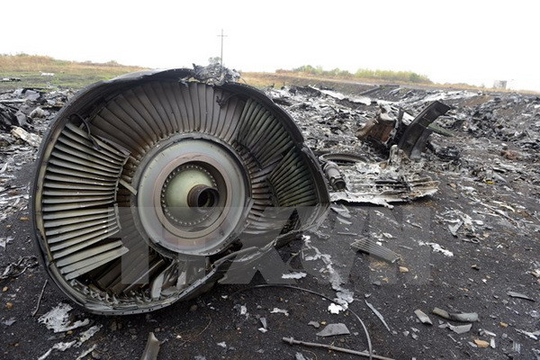 10 sự kiện thế giới nổi bật nhất năm 2014 do TTXVN bình chọn ảnh 7