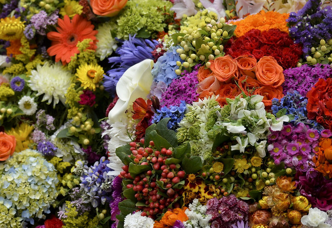 [Photo] Hàng triệu bông hoa rực rỡ khoe sắc tại lễ hội Medellin ảnh 2