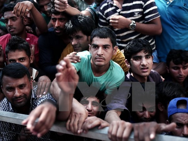 Đức kêu gọi các nước EU tiếp nhận người tị nạn theo khả năng ảnh 1