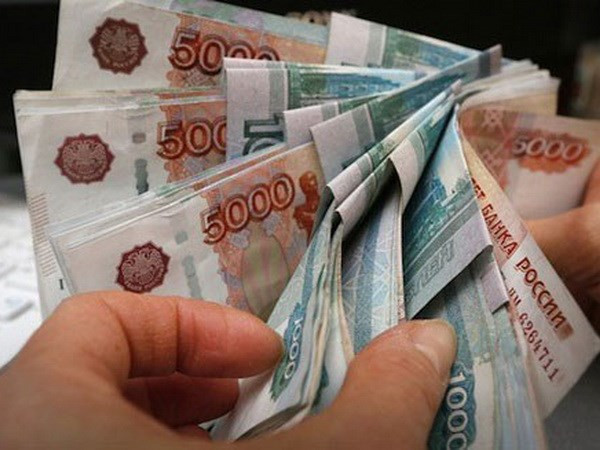 Chính phủ Nga tìm cách kìm hãm đà tăng giá đồng ruble ảnh 1