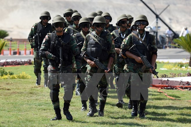 Ai Cập huy động 185.000 binh sỹ bảo vệ bầu cử Quốc hội ảnh 1