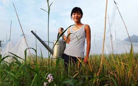 Diện tích canh tác đậu tương ở Trung Quốc có thể giảm 15% ảnh 1