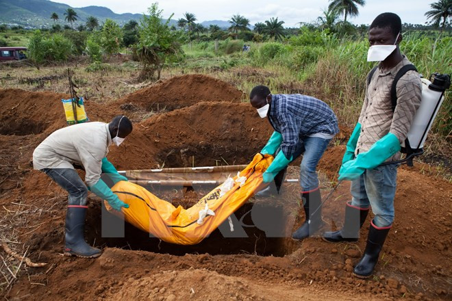 Thêm một nữ sinh 22 tuổi tử vong do nhiễm Ebola tại Sierra Leone ảnh 1