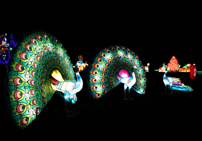 [Photo] Lung linh lễ hội đèn lồng Trung Hoa tại nước Anh ảnh 3