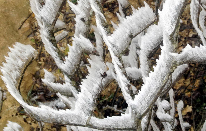 Vùng núi vẫn rét đậm, rét hại, có khả năng xảy ra băng giá ảnh 1