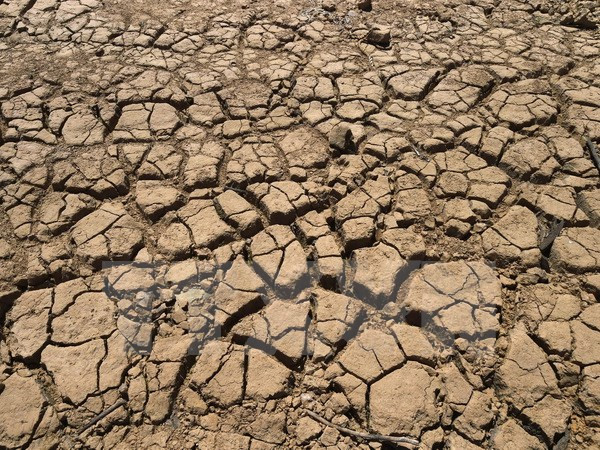 [Video] Nhiệt độ toàn cầu có thể cao bất thường vì El Nino ảnh 1