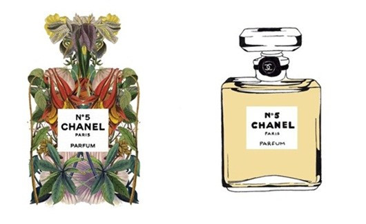 Nước hoa mùa đông - Bản giao hưởng của những nốt trầm ảnh 1