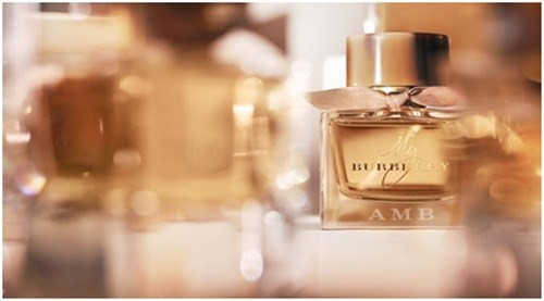 Nước hoa mùa đông - Bản giao hưởng của những nốt trầm ảnh 5