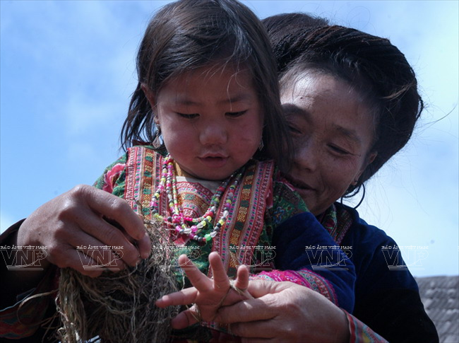 Độc đáo nghề xe lanh dệt vải của người Mông ở Đồng Văn ảnh 9