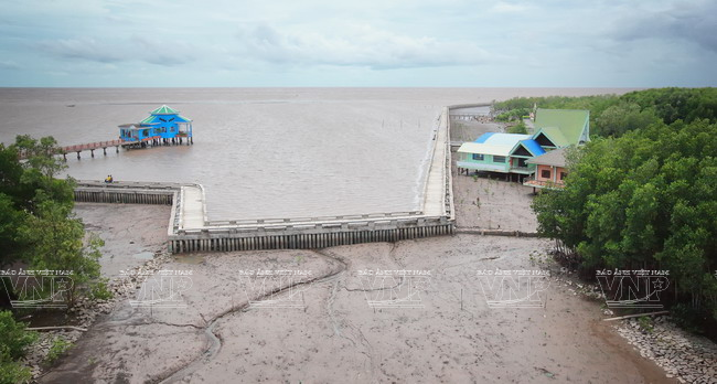 Vọp luộc gừng chấm mắm: Đặc sản độc đáo xứ đất mũi Cà Mau ảnh 1