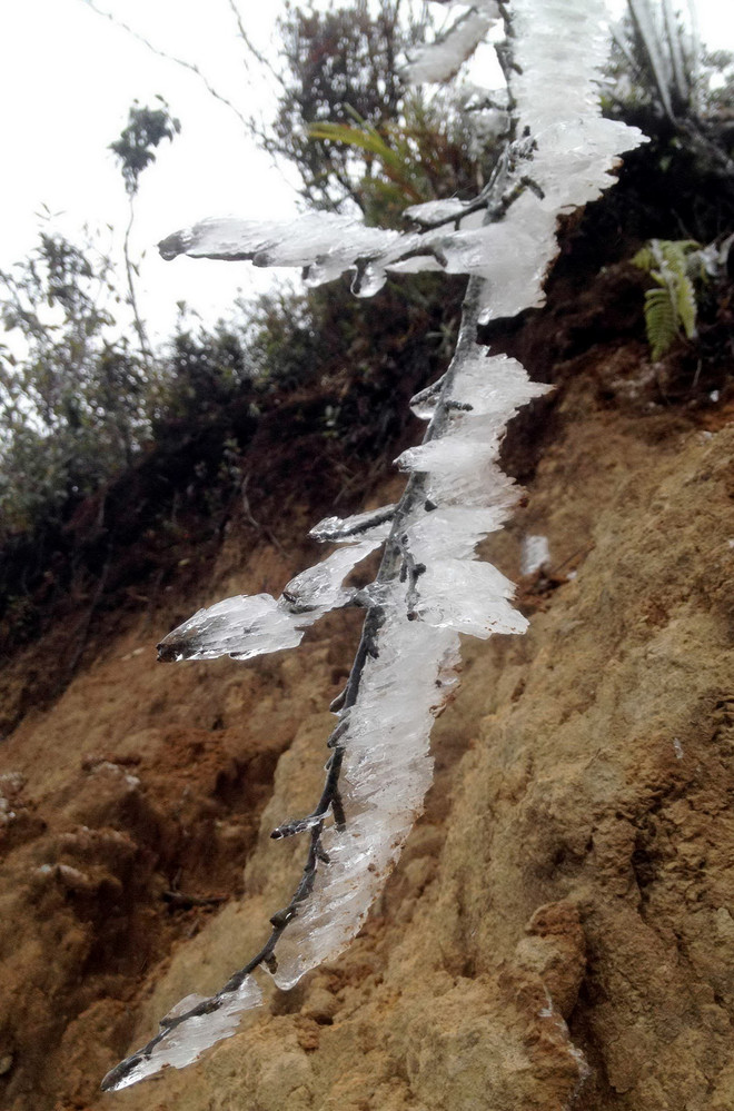 [Photo] Băng giá phủ trắng đỉnh Trống Páo Sang ở Yên Bái ảnh 4