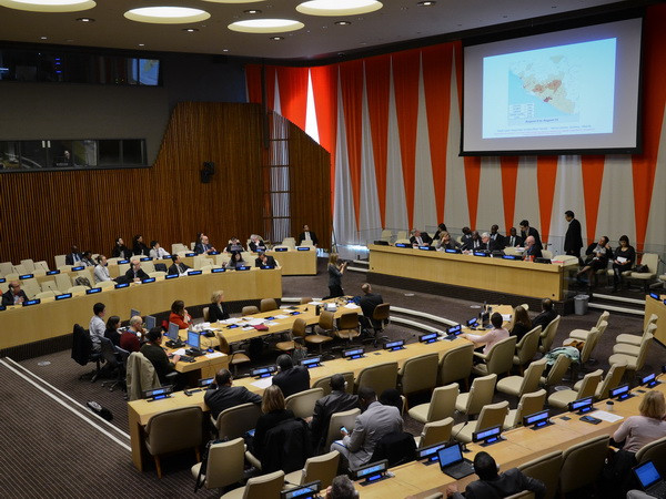 Liên hợp quốc xây dựng khung pháp lý mới về tái cơ cấu nợ quốc gia ảnh 1