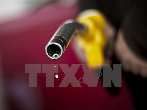 Giá dầu thị trường châu Á lại xuống dưới 30 USD/thùng ảnh 1