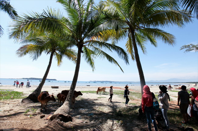 Du lịch Quảng Nam: Kỳ thú ghềnh đá Bàn Than-Biển Rạng ảnh 3