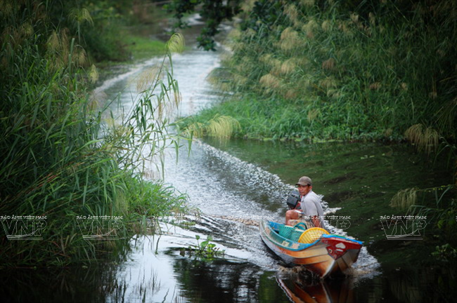 Ốc len xào sữa: Món ăn tuyệt vời cho những ngày đông lạnh ảnh 2
