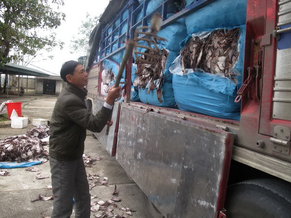 Bắt giữ xe tải chở hơn 20 tấn mực và cá khô bốc mùi hôi thối ảnh 1
