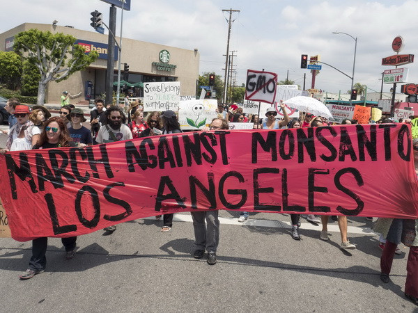 Tuần hành ở hơn 10 nước phản đối cây trồng biến đổi gen của công ty Mỹ ảnh 1
