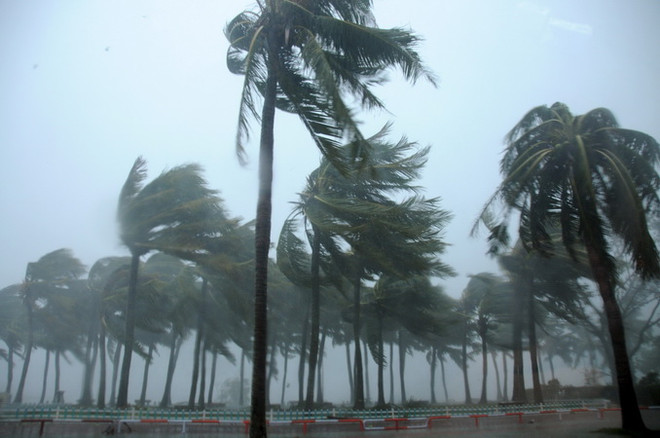 Trung Quốc vẫn duy trì cảnh báo nguy hiểm với bão Mujigae ảnh 1