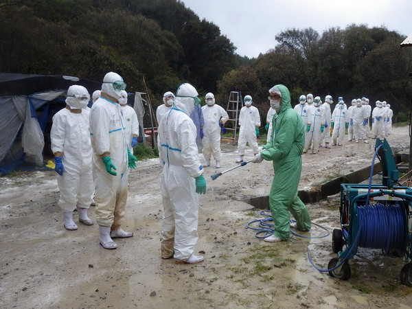 Nhật Bản tiêu hủy khẩn cấp 4.000 con gà do phát hiện cúm H5 ảnh 1