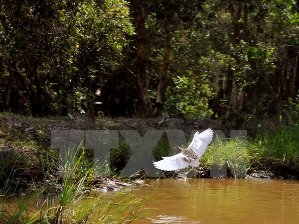 Phát hiện nhiều loài động vật quý hiếm ở vườn quốc gia U Minh Hạ ảnh 1