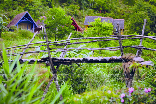 Làng Cù Lần: Bí ẩn giữa rừng thông cao nguyên Lâm Đồng ảnh 6