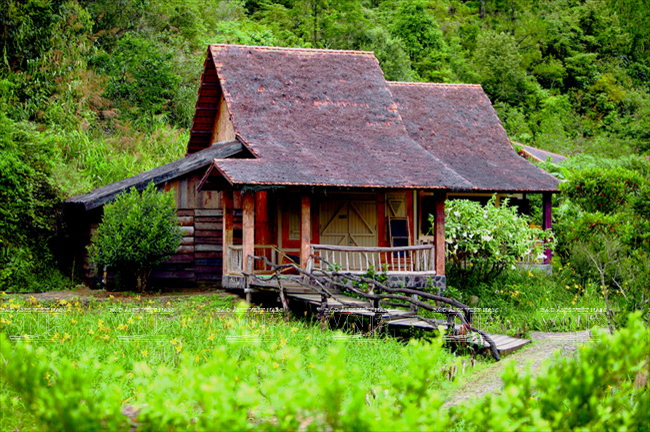 Làng Cù Lần: Bí ẩn giữa rừng thông cao nguyên Lâm Đồng ảnh 4