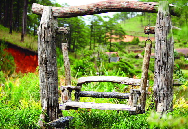 Làng Cù Lần: Bí ẩn giữa rừng thông cao nguyên Lâm Đồng ảnh 5