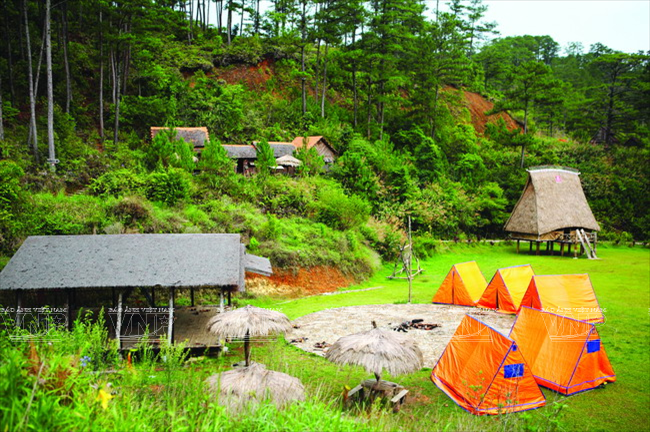 Làng Cù Lần: Bí ẩn giữa rừng thông cao nguyên Lâm Đồng ảnh 7