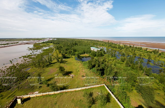 Khu du lịch Cồn Vành: Nơi sông Hồng hòa mình vào biển Đông ảnh 1