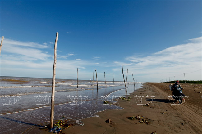 Khu du lịch Cồn Vành: Nơi sông Hồng hòa mình vào biển Đông ảnh 5