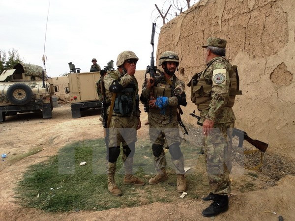 An ninh Afghanistan chặn đứng âm mưu đánh bom liều chết ảnh 1