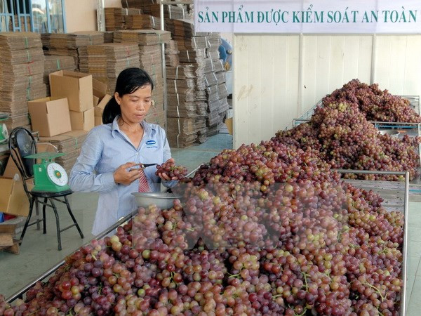 Tiếp tục phát triển thương mại nông thôn giai đoạn 2016-2020 ảnh 1