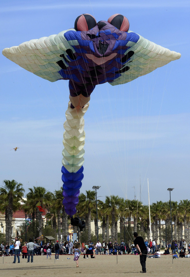 [Photo] Hàng trăm chiếc diều khổng lồ tụ hội ở Tây Ban Nha ảnh 2