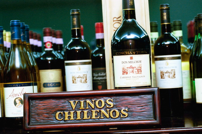Ngành rượu vang Chile đặt kỳ vọng lớn vào hiệp định TPP ảnh 1